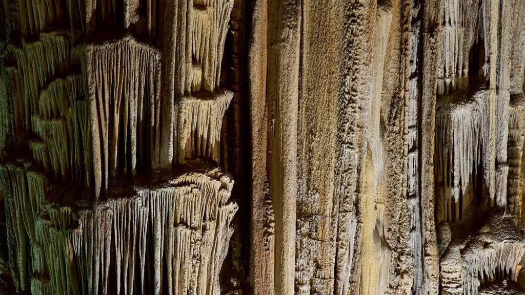 Nerja Caves showing caves