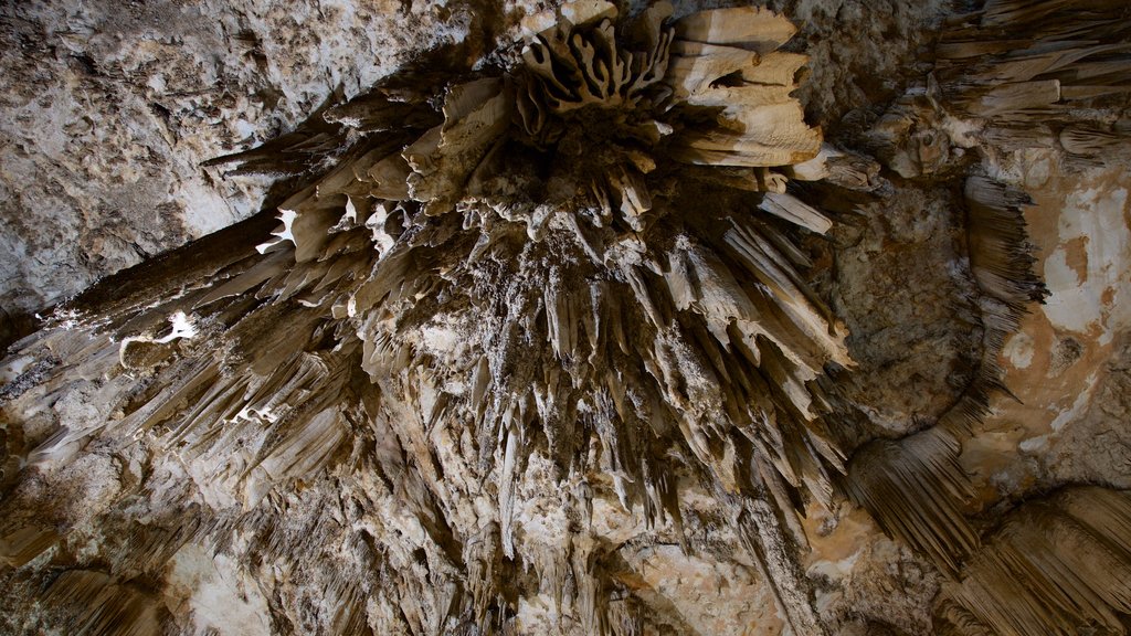 Cavernas de Nerja mostrando cavernas