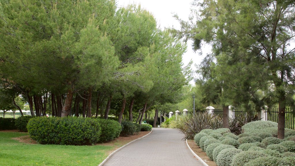 La Bateria Park showing a garden