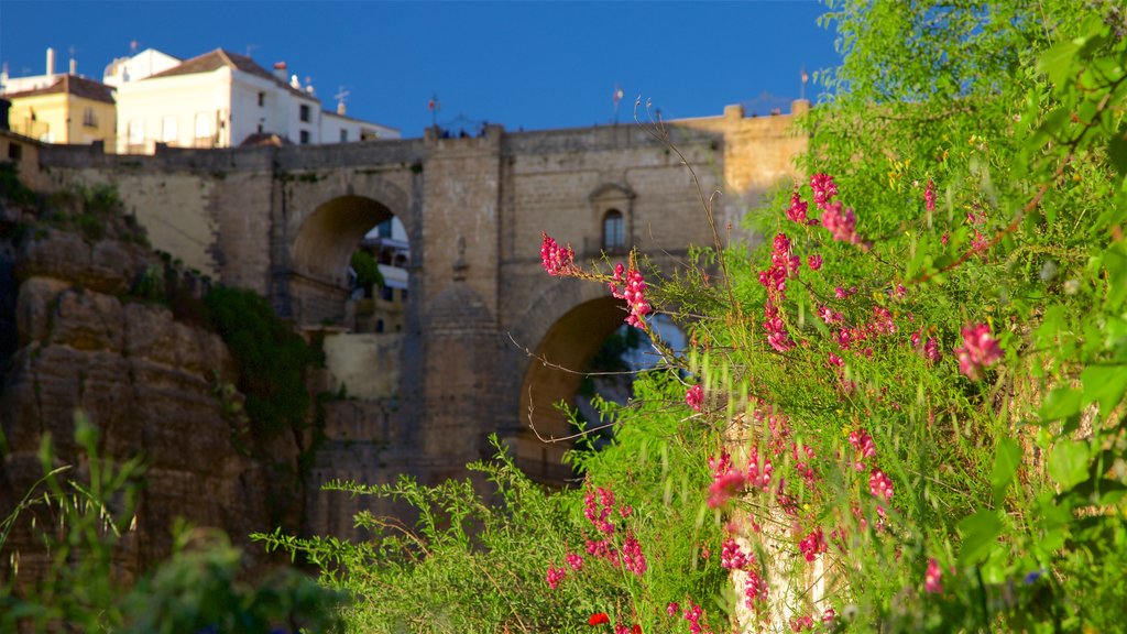 Puente Nuevo showing wild flowers