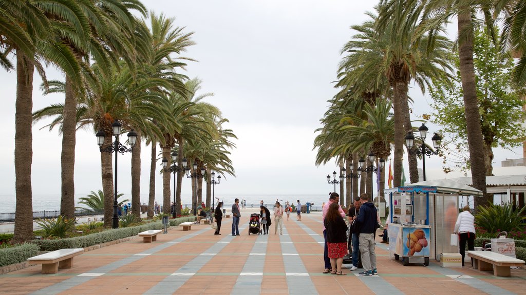 Balcon de Europa featuring street scenes, tropical scenes and general coastal views