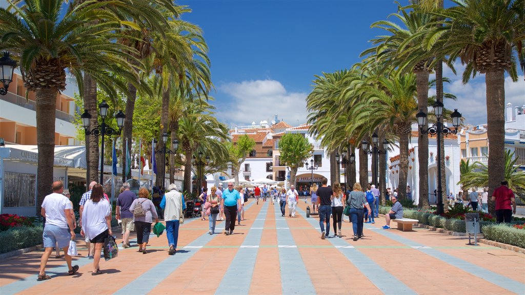 Balcon de Europa showing tropical scenes and street scenes as well as a large group of people