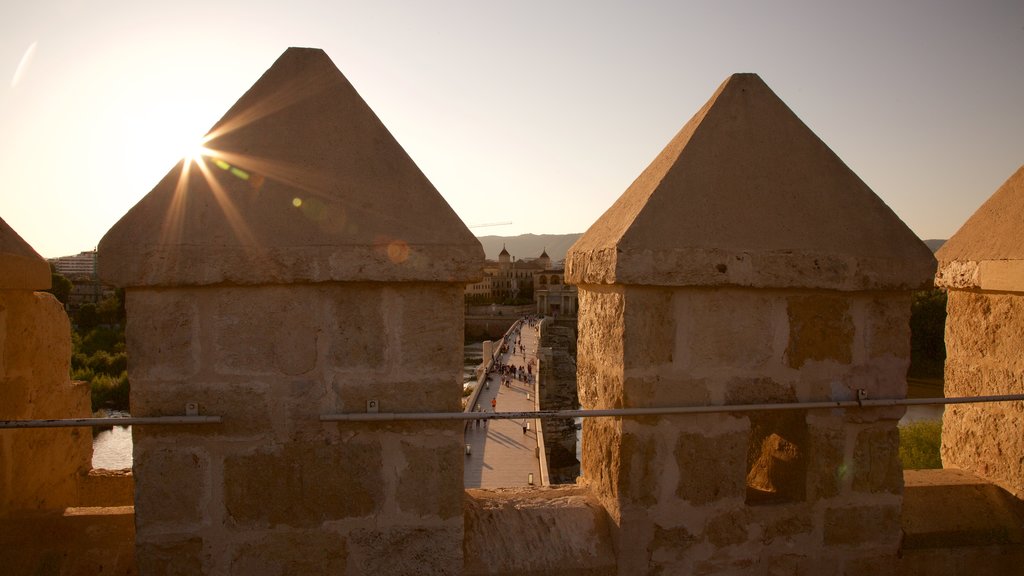 Calahorra Tower showing a castle