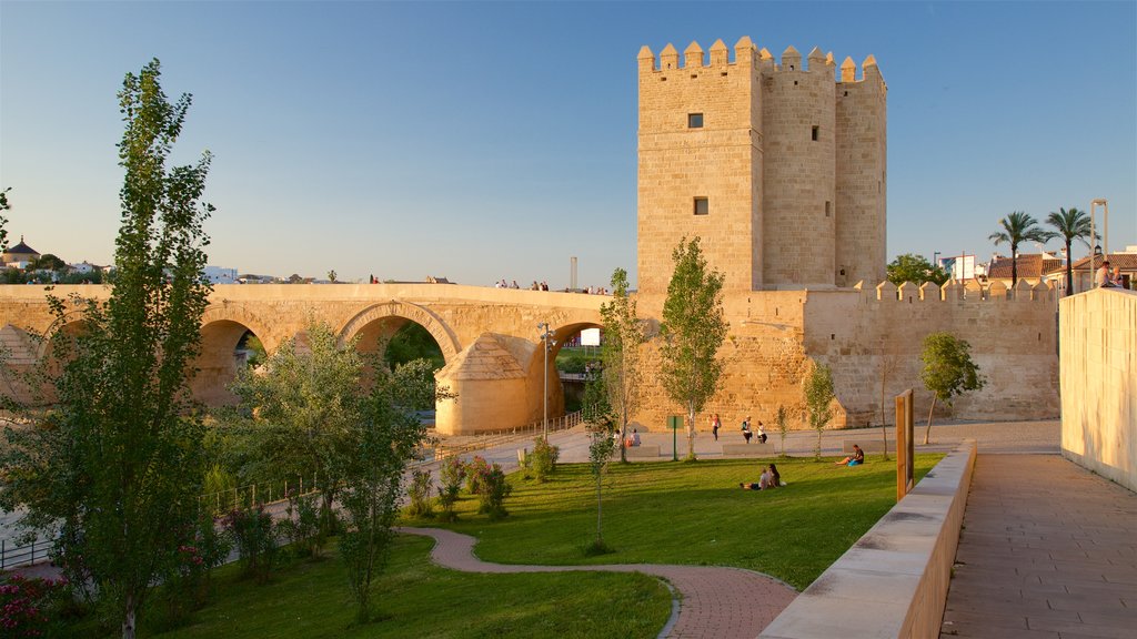 Calahorra Tower showing a bridge and chateau or palace