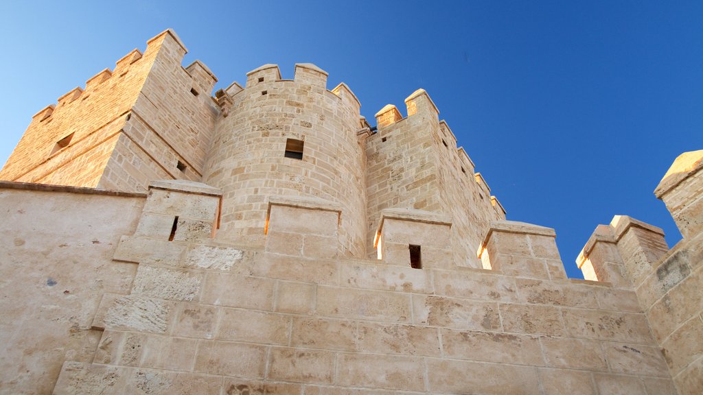 Calahorra Tower which includes chateau or palace and heritage elements