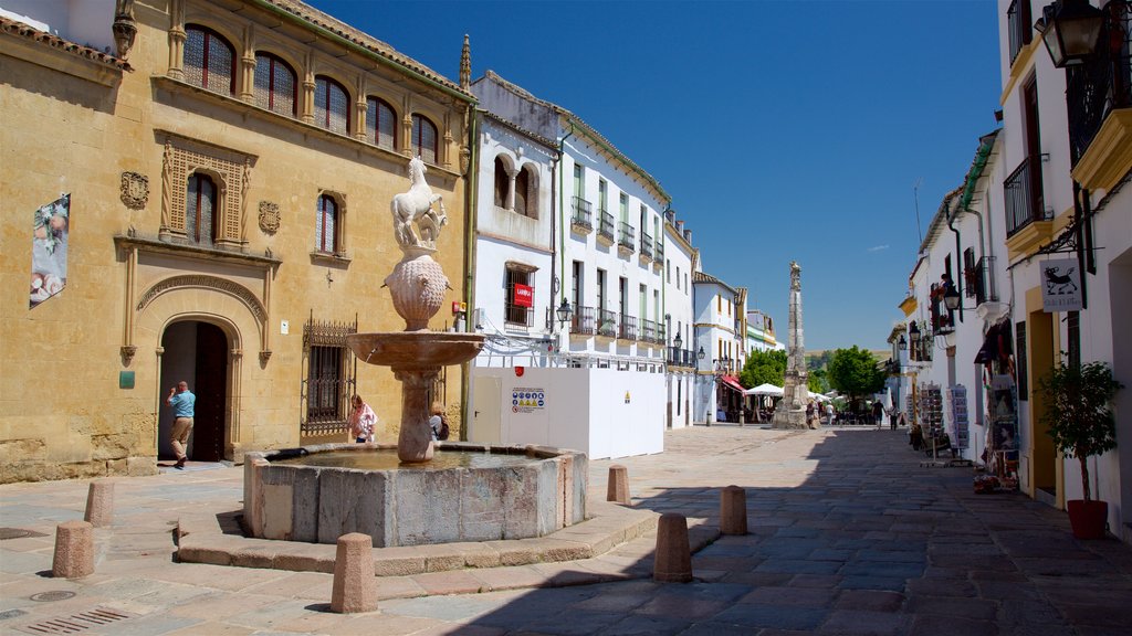 Praça do Potro que inclui uma praça ou plaza e uma fonte