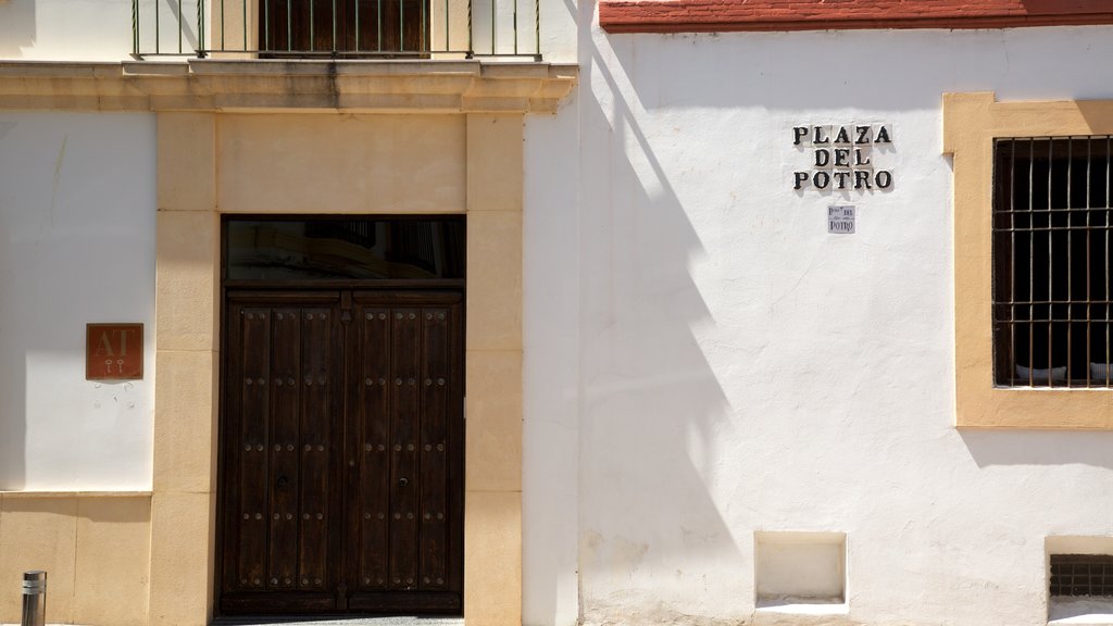 Plaza del Potro featuring street scenes and signage