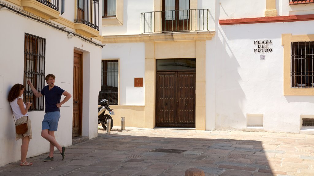 Plaza del Potro showing street scenes as well as a small group of people