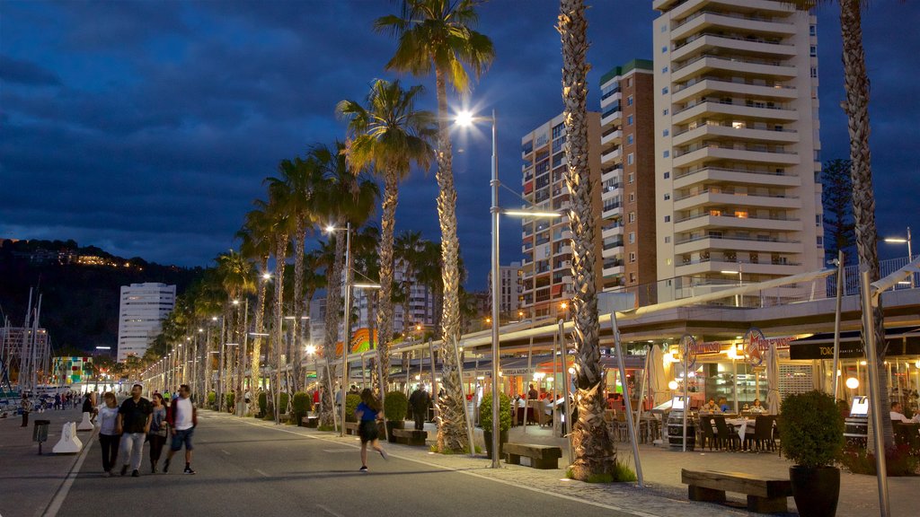 Port of Malaga showing night scenes and a city