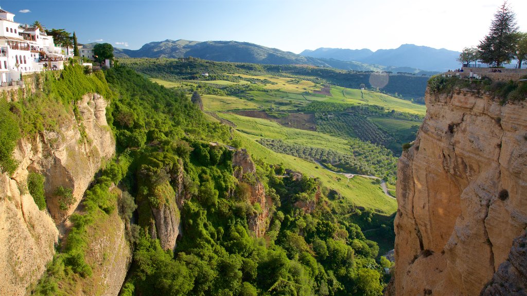 El Tajo Gorge mostrando um desfiladeiro ou canyon, paisagem e fazenda