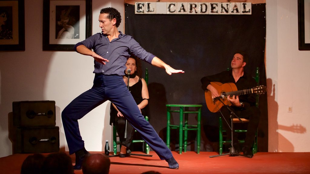 Córdoba ofreciendo vistas interiores y arte escénica y también un pequeño grupo de personas