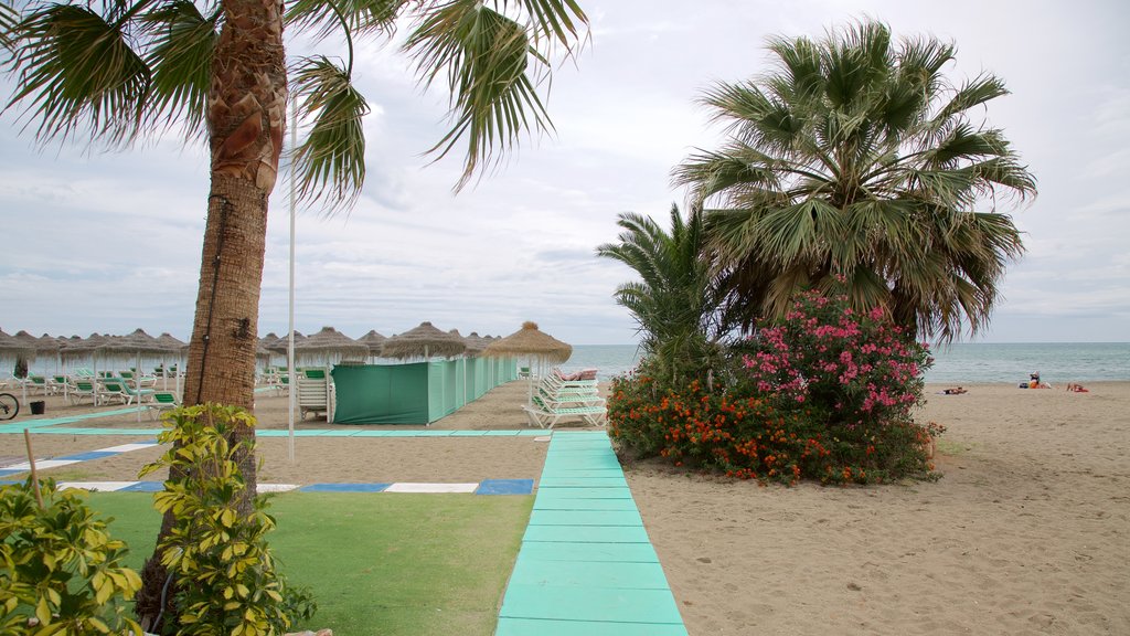 Torremolinos showing tropical scenes and a beach