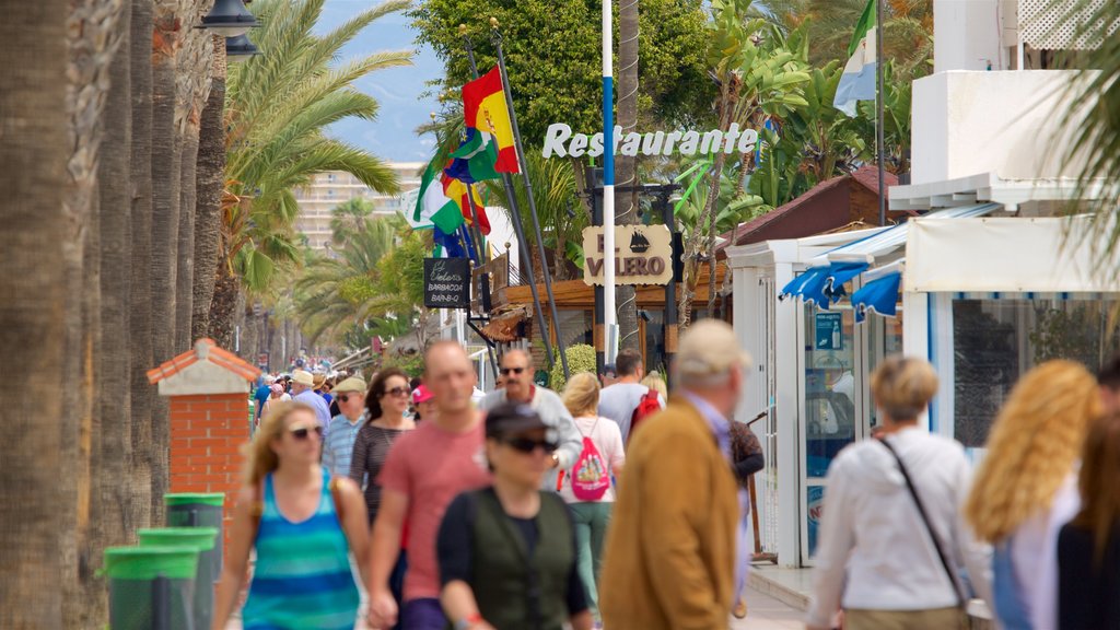 Torremolinos showing tropical scenes and street scenes as well as a large group of people