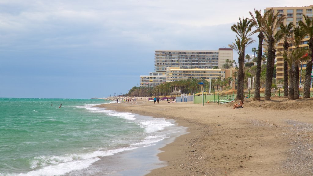 Torremolinos som viser en kystby, en strand og tropiske områder