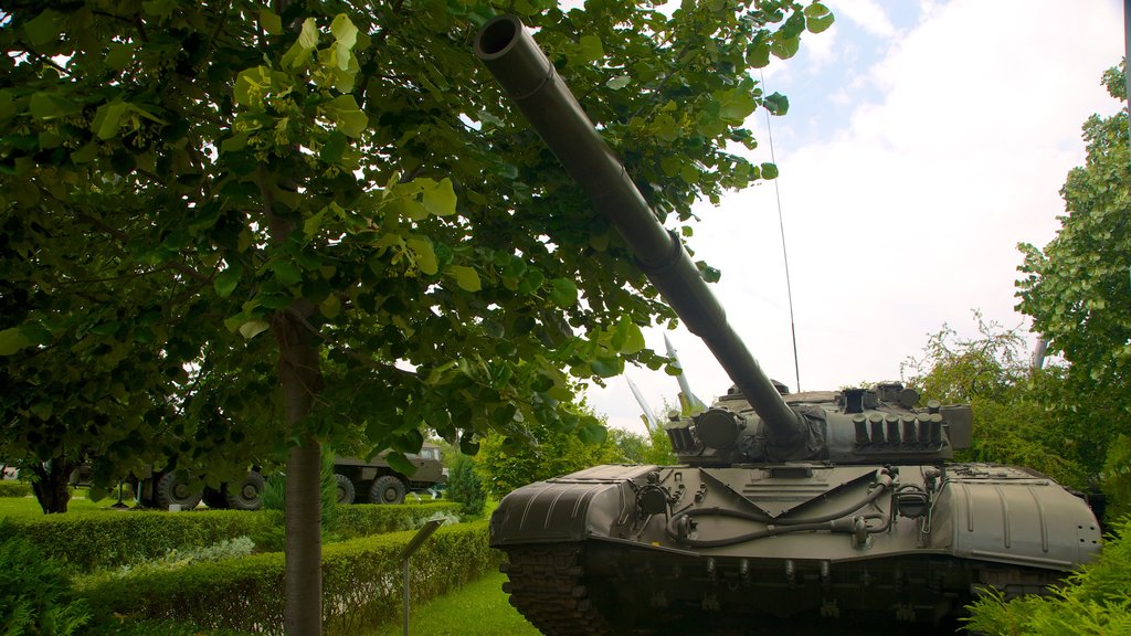 National Museum of Military History showing military items