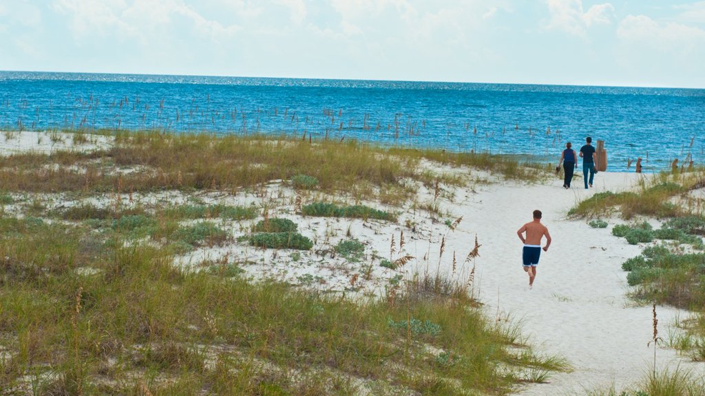 South Walton Beaches which includes a sandy beach and general coastal views as well as a small group of people