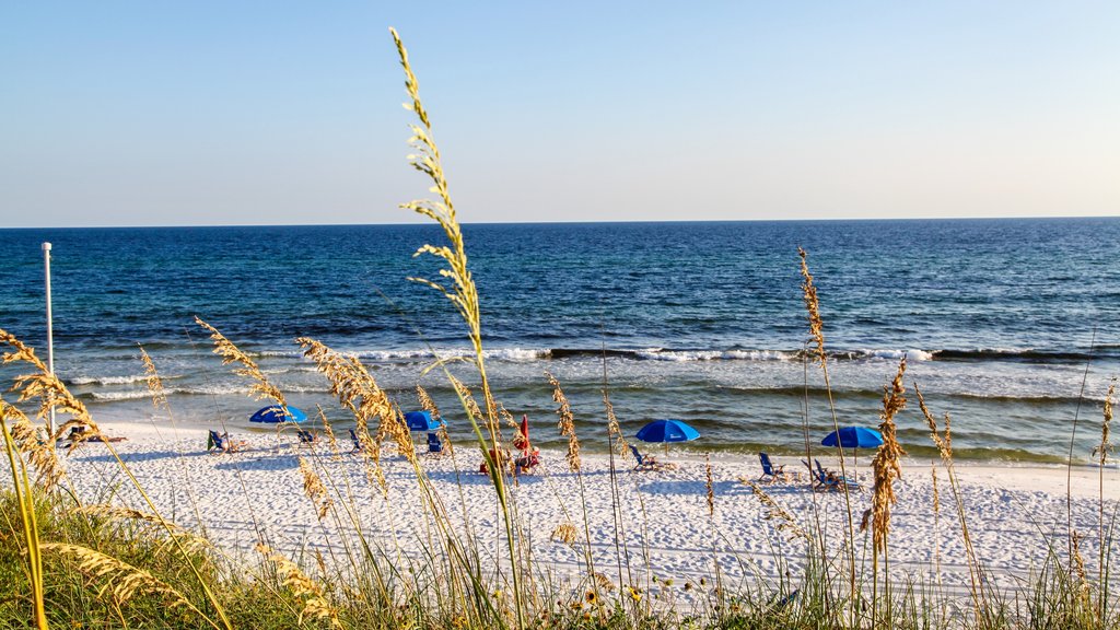 Playas de South Walton que incluye una playa de arena y vistas de una costa