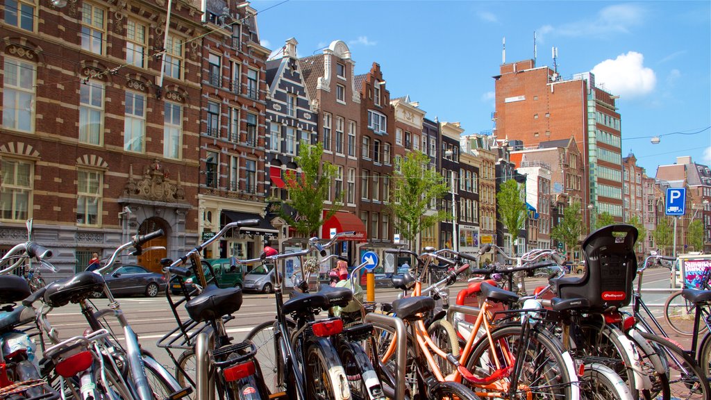 North Holland showing street scenes and cycling