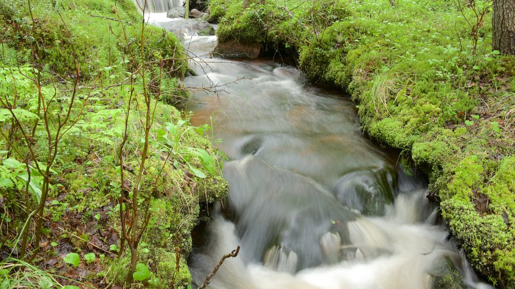 Äkäslompolo que incluye pantano y un río o arroyo