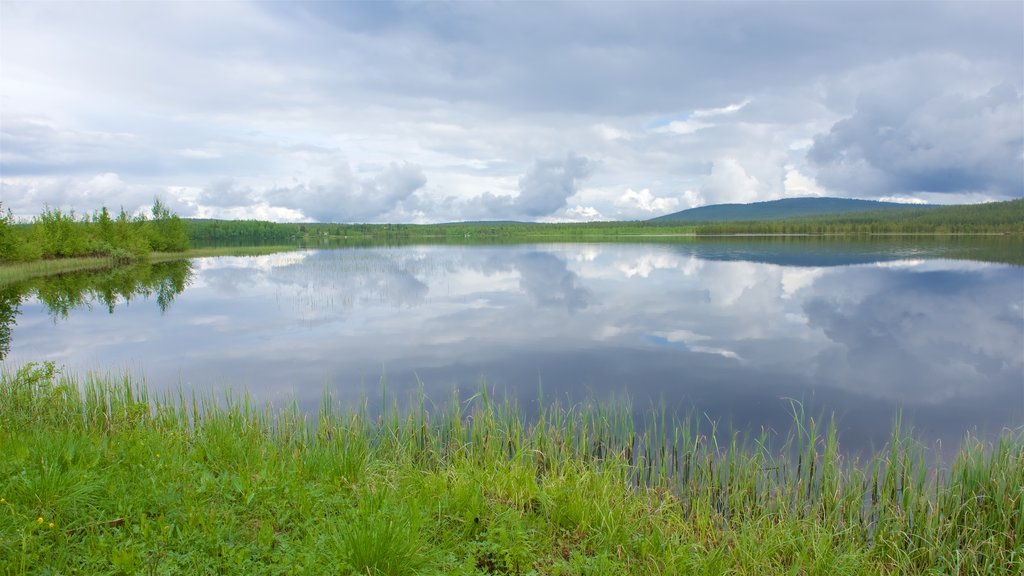 Akaslompolo featuring a lake or waterhole and wetlands