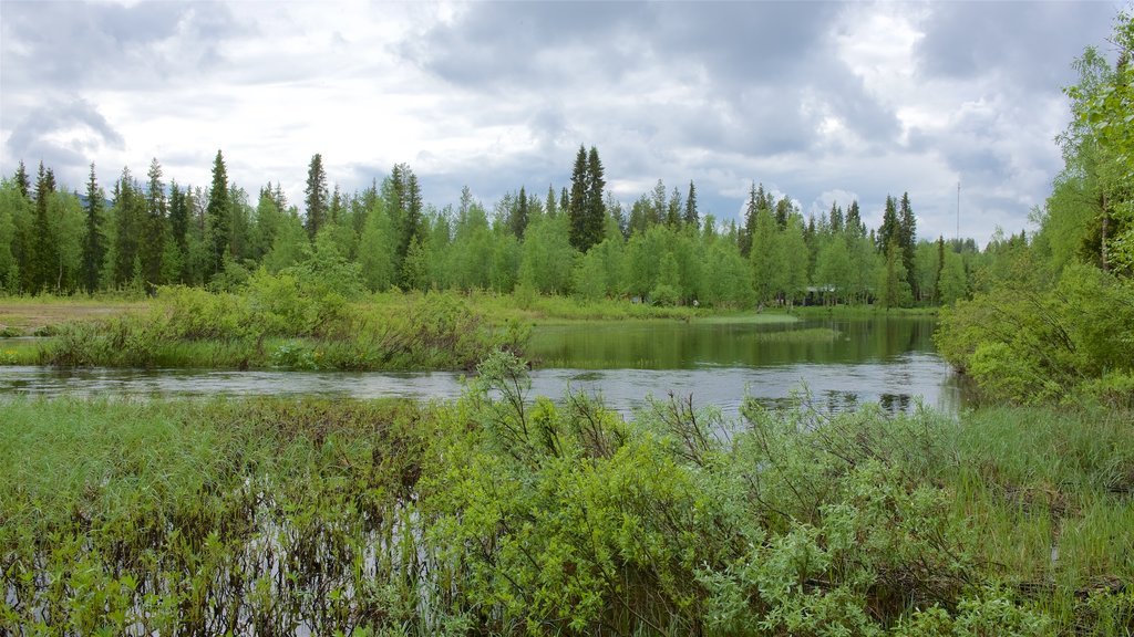 Akäslompolo montrant terres humides