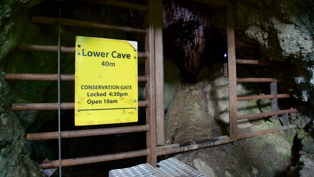 Parque Provincial de las Cuevas del Lago Horne que incluye señalización y espeleología