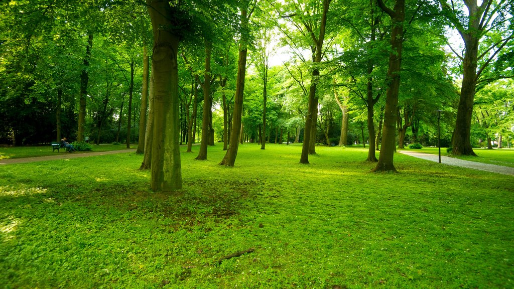 Hofgarten which includes a park