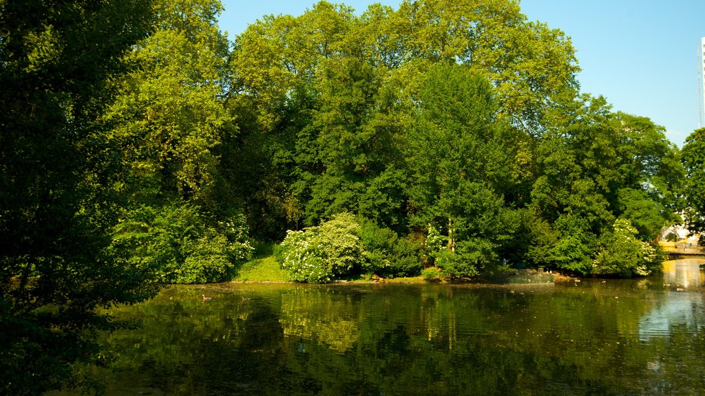 Hofgarten que incluye un jardín y un estanque