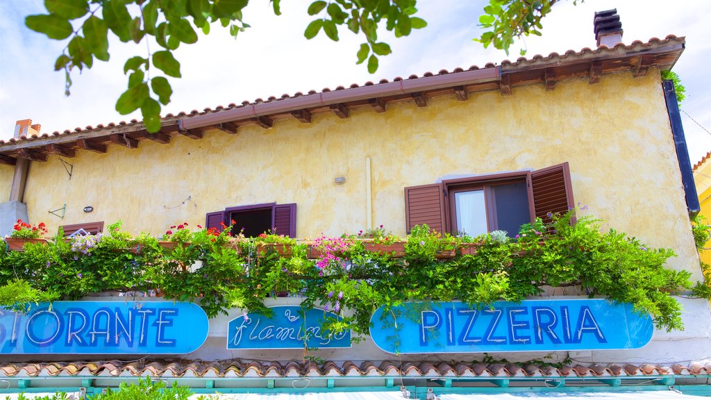 San Teodoro showing signage and flowers