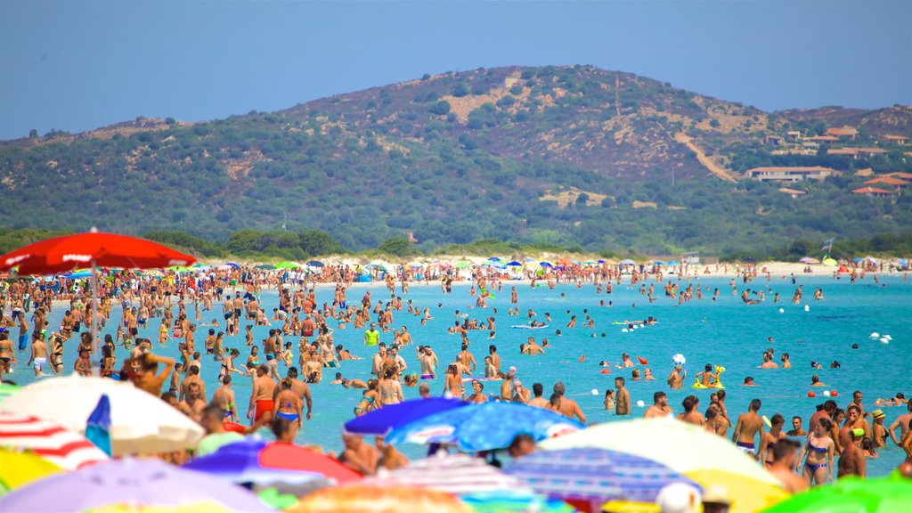 San Teodoro toont algemene kustgezichten, een zandstrand en zwemmen