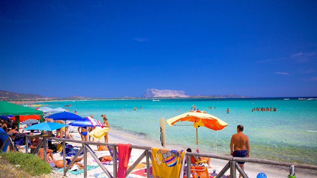 San Teodoro caracterizando paisagens litorâneas e uma praia de areia