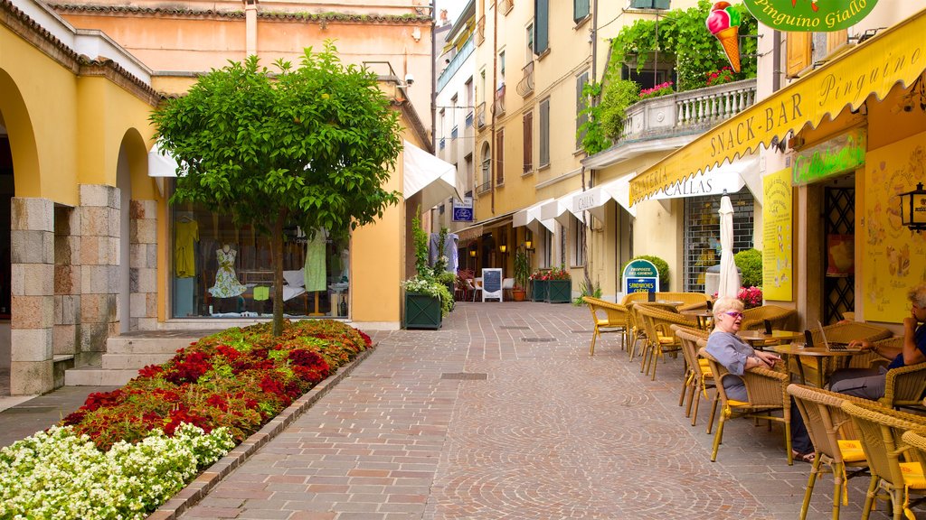 Gardone Riviera showing wild flowers