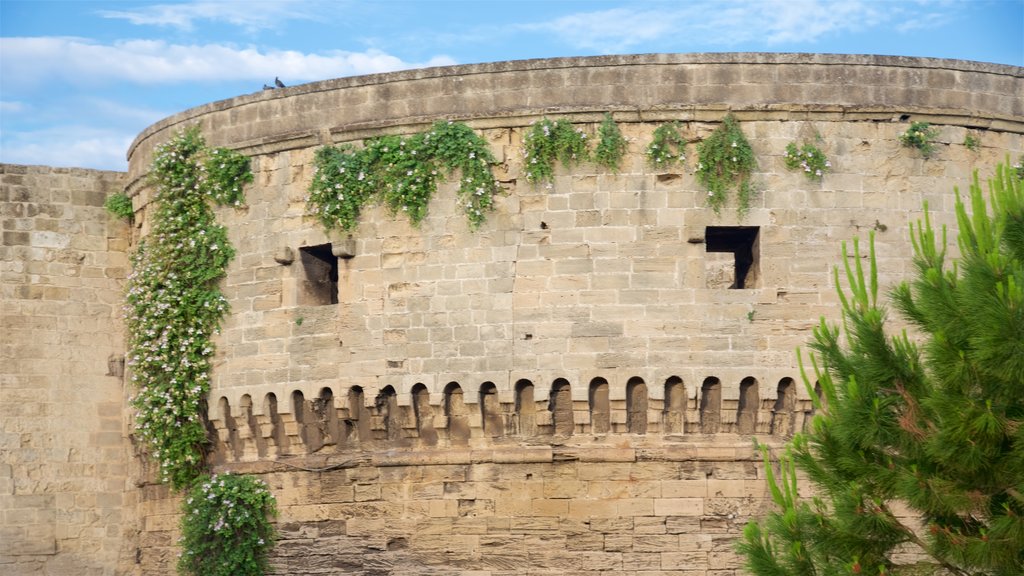 Aragonese Castle qui includes patrimoine historique et château