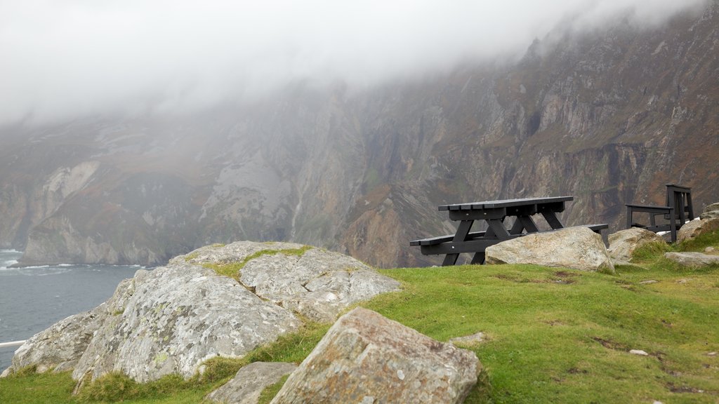 Slieve League which includes a garden, rugged coastline and mist or fog