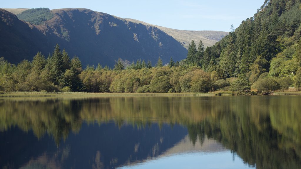 Glendalough showing a lake or waterhole and tranquil scenes