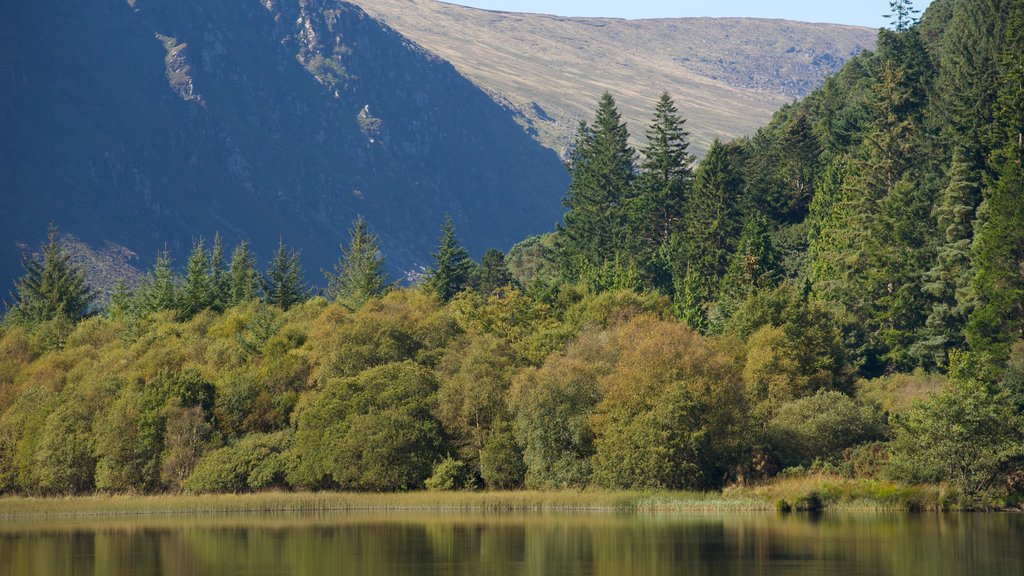 Glendalough som viser rolig landskap og innsjø