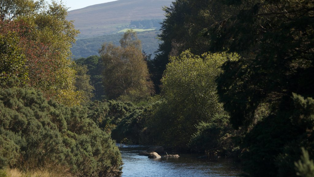 Glendalough ofreciendo un pantano y un río o arroyo