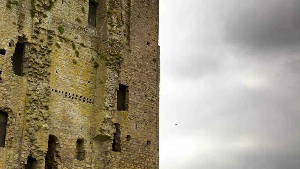 Trim Castle que inclui elementos de patrimônio e ruínas de edifício