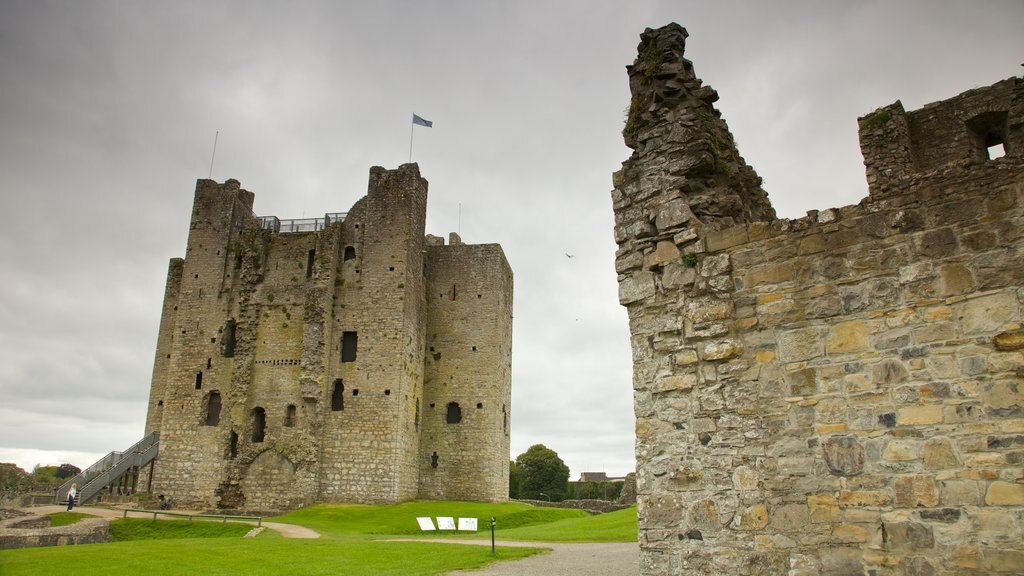 Trim Castle featuring building ruins and heritage elements