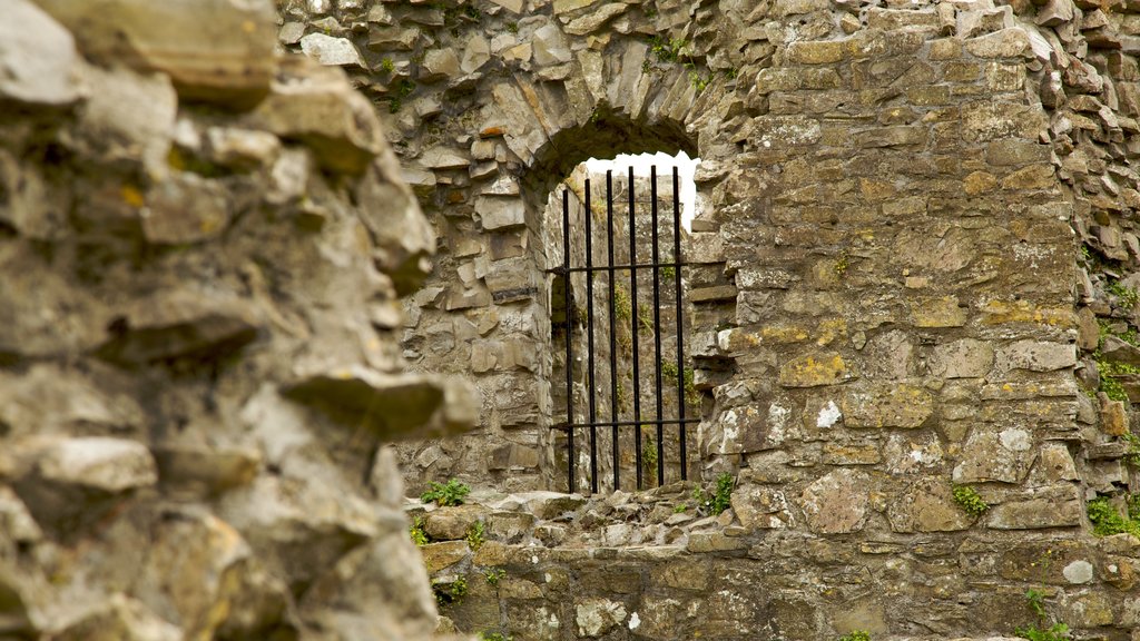 Trim Castle que inclui elementos de patrimônio e ruínas de edifício