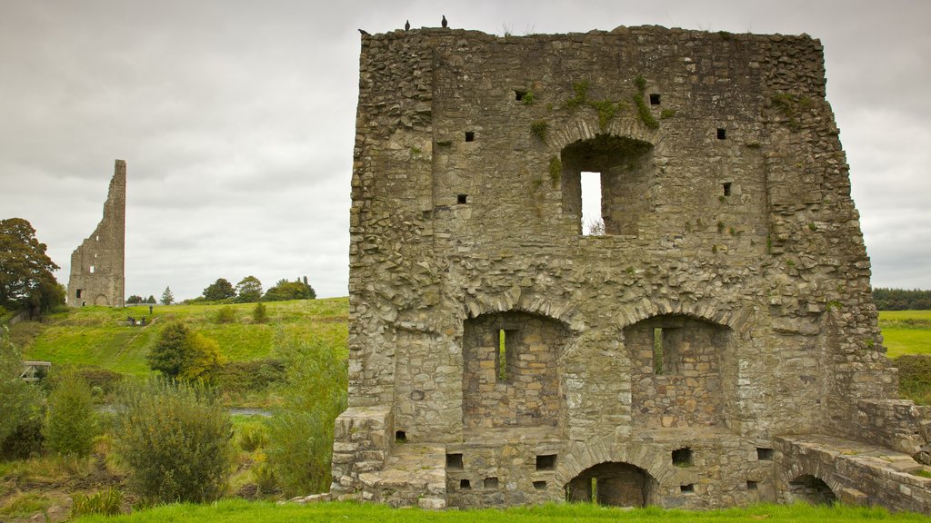 Trim Castle mostrando ruínas de edifício e elementos de patrimônio