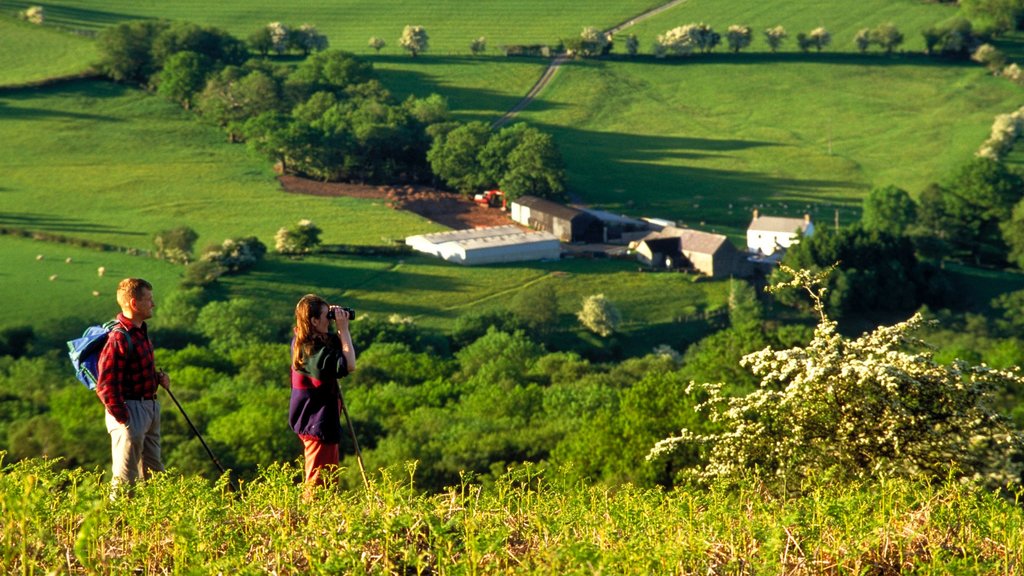 Brecon mostrando escenas tranquilas y senderismo o caminata y también una pareja