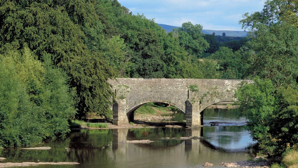 Brecon ofreciendo un río o arroyo y un puente