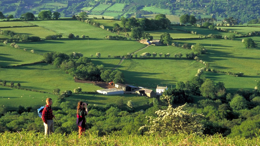 Brecon featuring hiking or walking, tranquil scenes and farmland