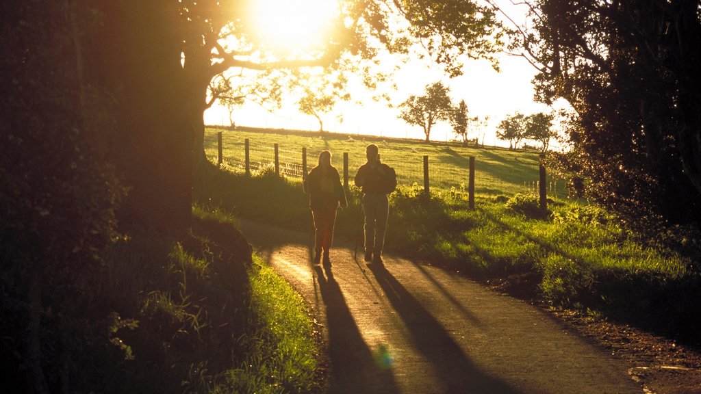 Brecon mostrando un atardecer, jardín y caminatas