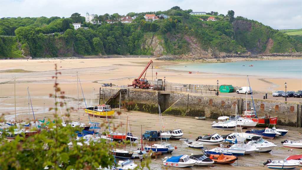 Tenby which includes rugged coastline, a beach and a bay or harbor