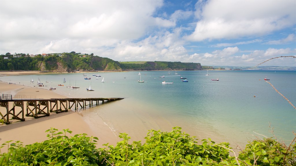 Tenby ofreciendo una bahía o puerto, vistas de paisajes y una playa de arena