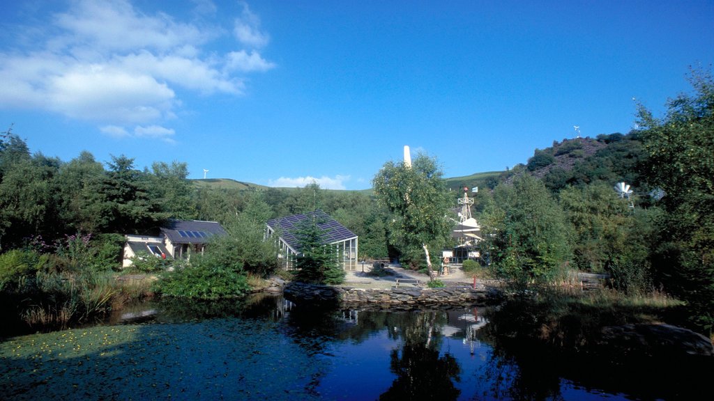 Machynlleth showing a pond and a house