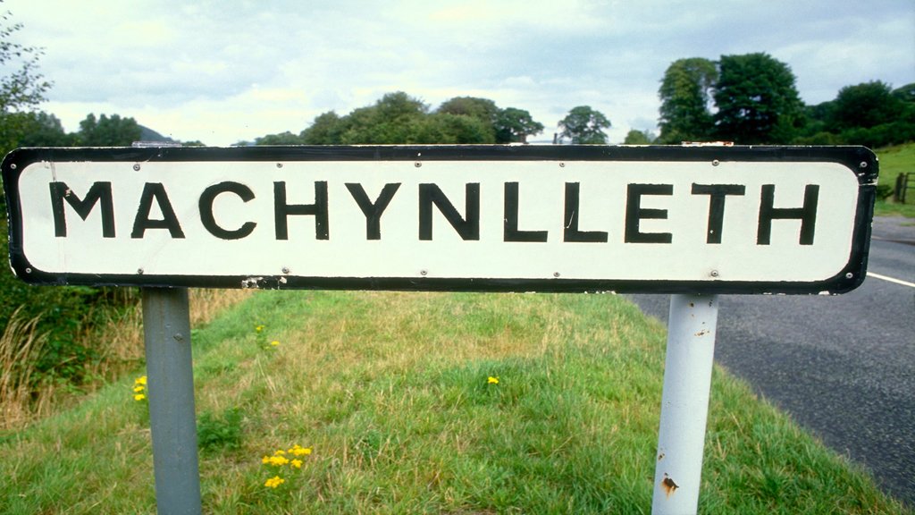 Machynlleth which includes signage