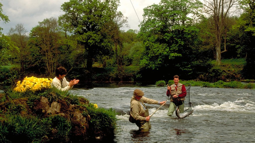 Powys ofreciendo pesca y un río o arroyo y también un pequeño grupo de personas